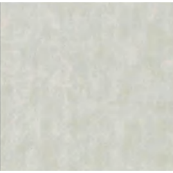 Papel de Parede Entre Linhas ENL3601