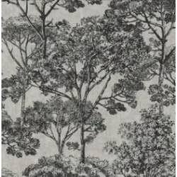 Papel de Parede Entre Linhas ENL5448