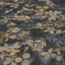 Papel de Parede Reno 216888