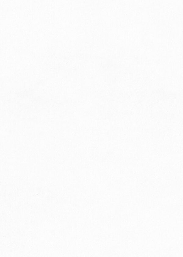 Papel de Parede Flora 84384