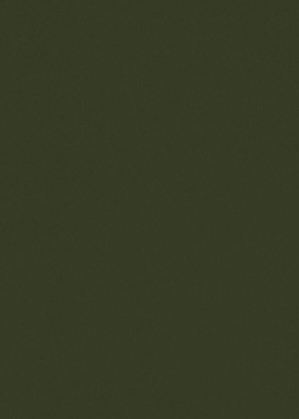 Papel de Parede Flora 84407