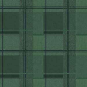 Papel de Parede Tartan 89037