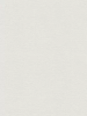 Papel de Parede TrendWall 2 306889