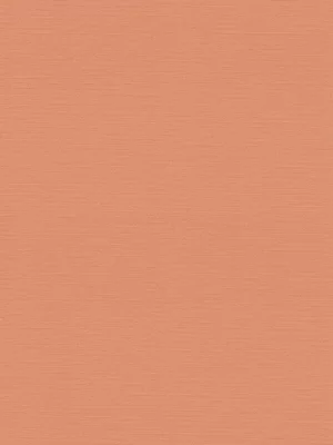 Papel de Parede TrendWall 2 390974