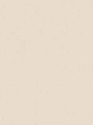 Papel de Parede TrendWall 2 781542