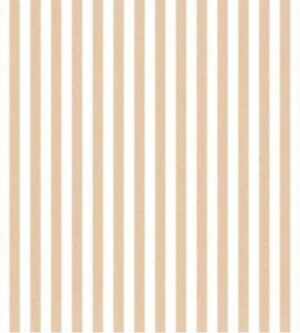Papel de Parede Top Stripes 38438