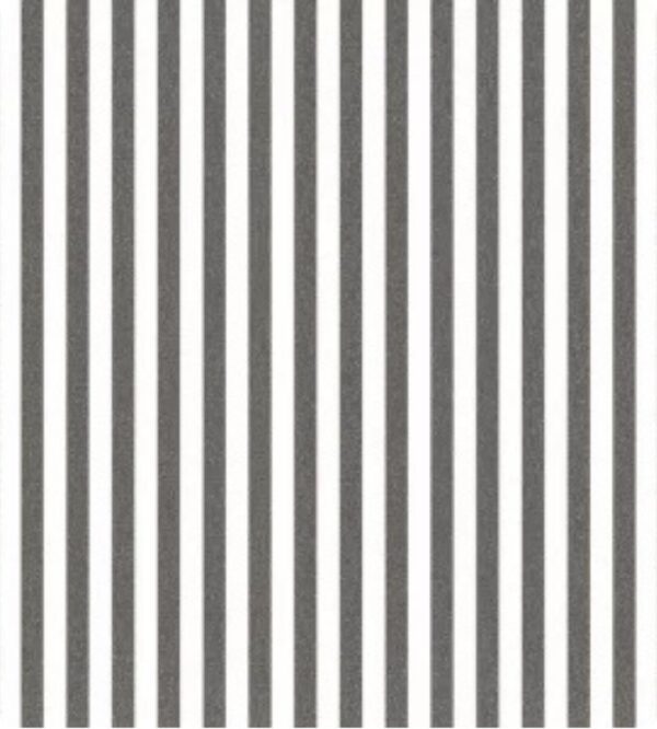 Papel de Parede Top Stripes 38439