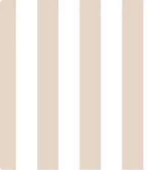 Papel de Parede Top Stripes 38442