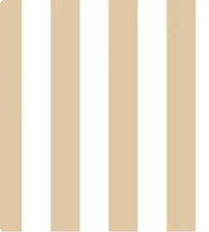 Papel de Parede Top Stripes 38443
