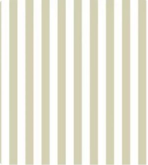 Papel de Parede Top Stripes 38453