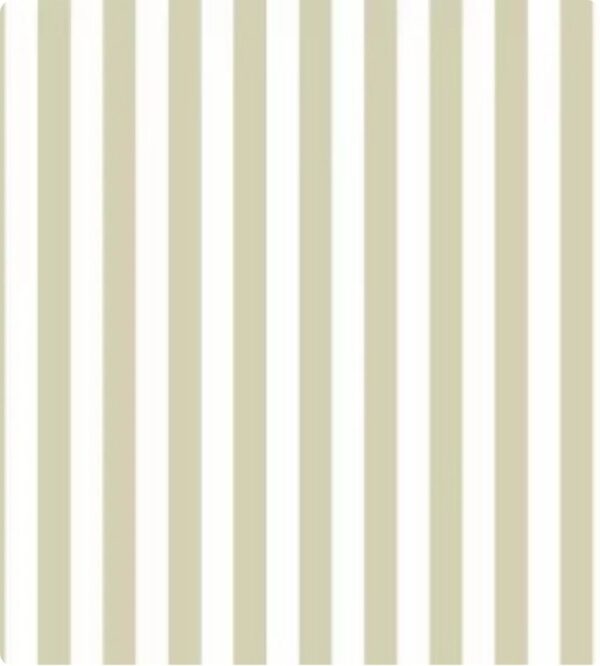 Papel de Parede Top Stripes 38453