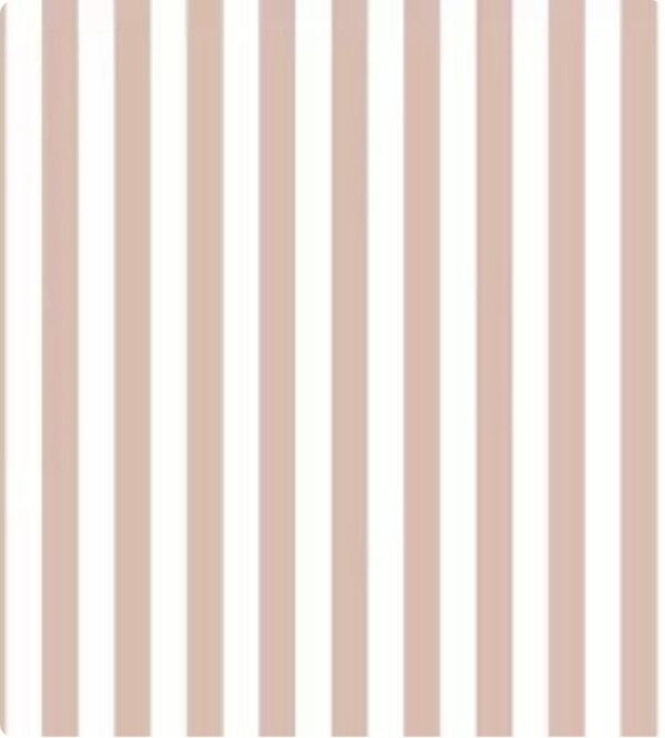 Papel de Parede Top Stripes 38454