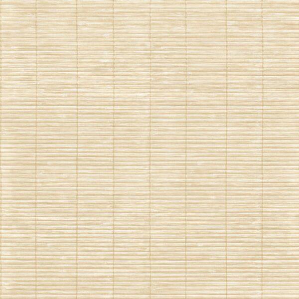 Papel de Parede Momi 4470