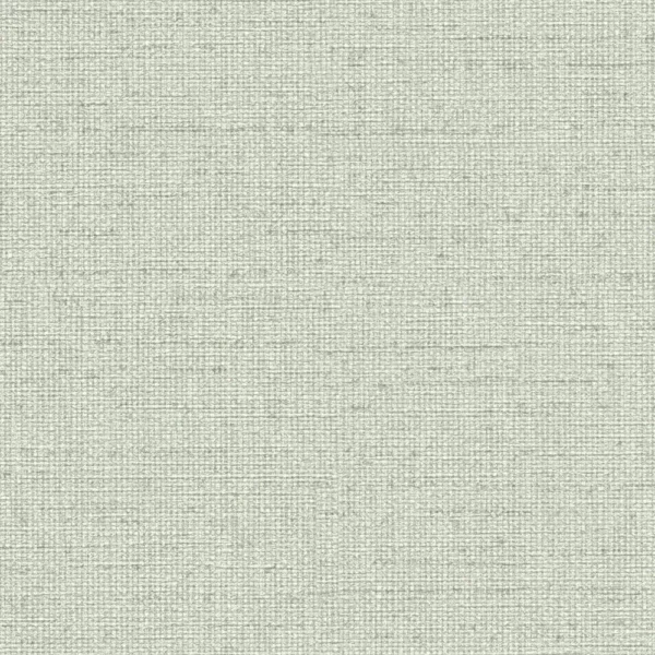 Papel de Parede Vibes & Styles 792024