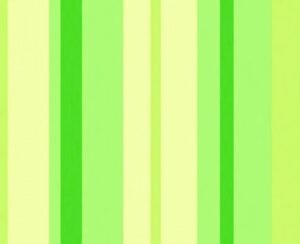 Papel de Parede Safari Friends SF6202