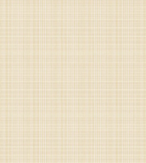 Papel de Parede Totem ST40105