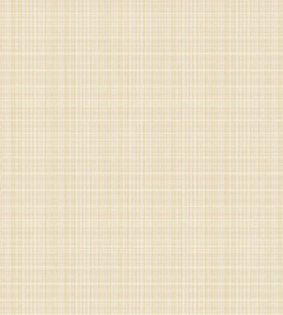 Papel de Parede Totem ST40105