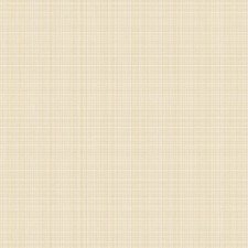 Papel de Parede Totem & Choice ST40105