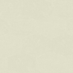 LP261105.jpg Papel de Parede Time Collection LP261105
