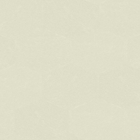 LP261105.jpg Papel de Parede Time Collection LP261105