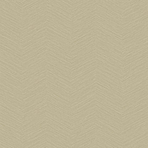 LP261405.jpg Papel de Parede Time Collection LP261405