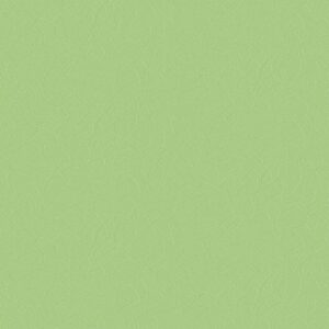 MA160205.jpg Papel de Parede Natural Color MA160205