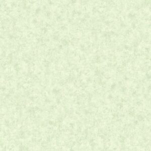 MC120042.jpg Papel de Parede Muddy Color MC120042