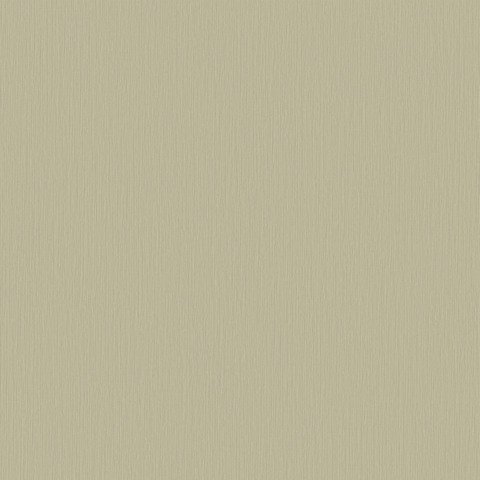MC120134.jpg Papel de Parede Muddy Color MC120134