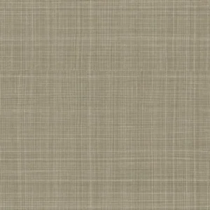 15802.webp Papel de Parede Alta Gama Evolution 15802