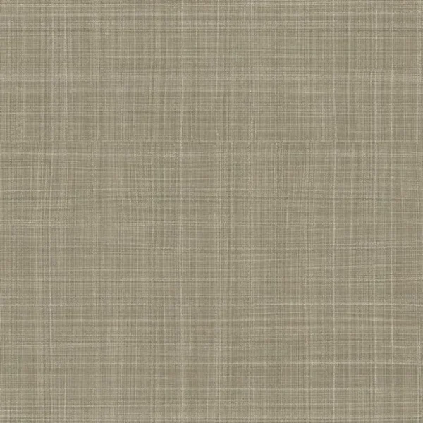 15802.webp Papel de Parede Alta Gama Evolution 15802