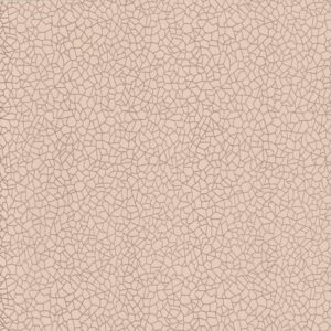 1838-camellia-160110705.jpg Papel de Parede Camellia 160110705