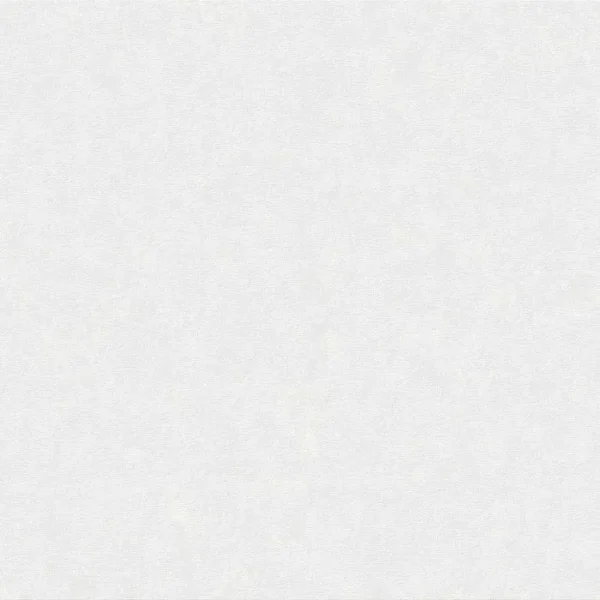 2020802.webp Papel de Parede Brut 2020802
