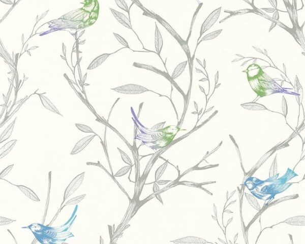 366231.jpg Papel de Parede Colibri 366231