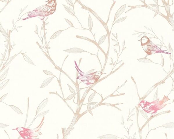 366233.jpg Papel de Parede Colibri 366233