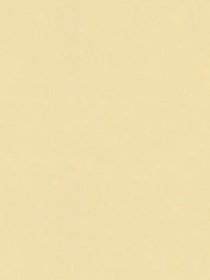 Papel de Parede Versace VI 370507