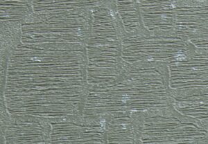 3A92704R.jpg Papel de Parede Classici 3 3A92704R