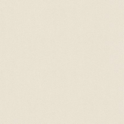 Papel de Parede Cosmopolitan 576054