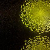 Papel de Parede Bling 682304