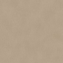 751055_600_0.jpg Papel de Parede African Queen III 751055