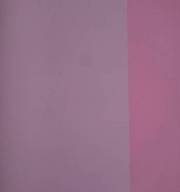 CL200.jpeg Papel de Parede Vinilico Rosa - Bandeira - Cl-200