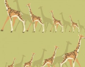 DW2364__07605.jpg Papel de Parede Dwell Studio Baby Kids DW2364