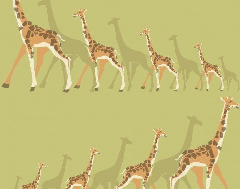 Papel de Parede Dwell Studio Baby Kids DW2364
