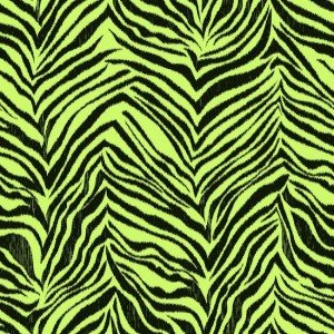 KS2297.jpg Papel de Parede Cool Kids KS2297