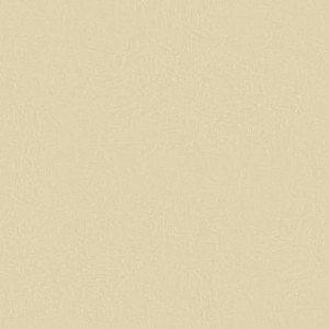 Papel de Parede Dimensional Efects TD4709