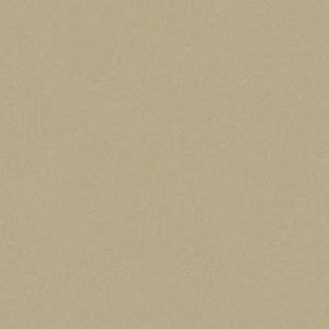 Papel de Parede Dimensional Efects TD4710