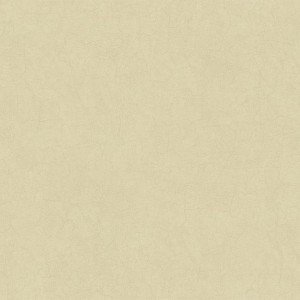 Papel de Parede Dimensional Efects TD4761