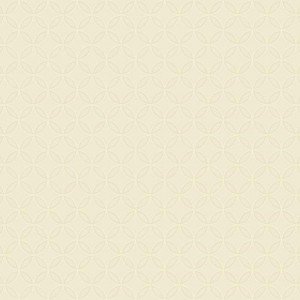 Papel de Parede Dimensional Efects TD4765