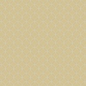 Papel de Parede Dimensional Efects TD4767