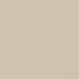 Papel de Parede Dimensional Efects TD4768