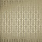 Papel de Parede Bright Wall Y6131102